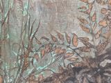 Photo 8/11 du lot