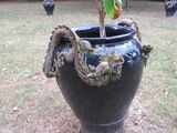 un vase noir contenant une plante, posé dans l'herbe