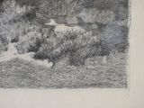 a black and white drawing of a dog in the grass