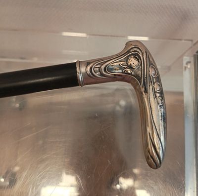 un gros plan sur un phasme dans une vitrine