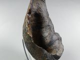 an image of a piece of rock on a stand on a white surface