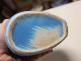 a person holding a blue and white bowl in their hand