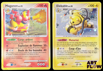 deux cartes Pokémon présentant des motifs différents sur un fond noir