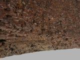 a close up of a piece of wood on a table