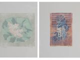 deux tableaux représentant des fleurs et un vase sur un fond blanc