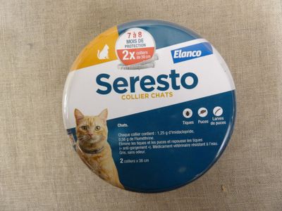 une photo d'un chat assis sur une table