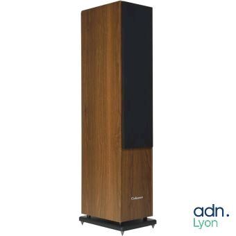 bowers & wilkins adn lyn tower speakers
