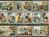 an image of a collage of images of people and birds