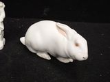 a white rabbit sitting next to a small white rabbit