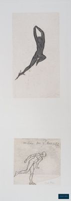 deux dessins représentant un oiseau survolant une étendue d'eau