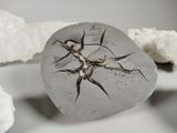 a piece of glass with a crack in it sitting on a plate