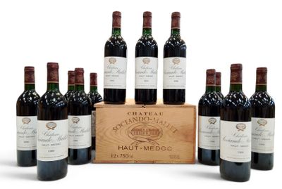six bouteilles de vin rouge dans une caisse en bois sur fond blanc