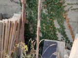 a pile of wood and a wooden fence in the yard
