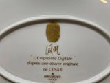 a plate with a picture of a fingerprint on it