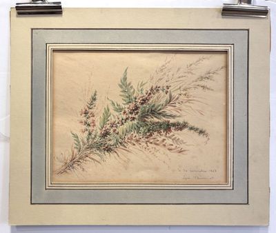 an old picture of a picture of a plant with leaves and berries