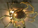 a golden spider sculpture on display in a glass case