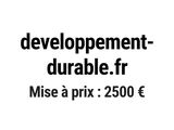 Photo 1/1 du lot