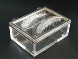 une boîte en verre contenant une plante, posée sur une table