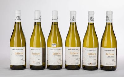 six bouteilles de vin blanc sont alignées