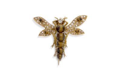 un gros plan d'un petit insecte sur une surface blanche