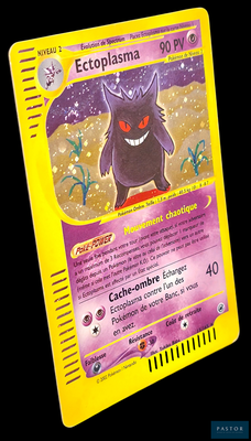 une image d'une carte Pokémon sur laquelle figure un chat noir