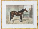 un tableau représentant un cheval brun debout devant une fenêtre