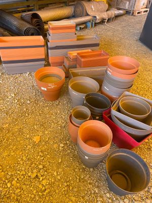 de nombreux bols et tasses posés par terre les uns à côté des autres