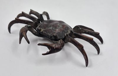 a crab that is sitting on a white surface