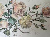 a drawing of a bunch of flowers on a table