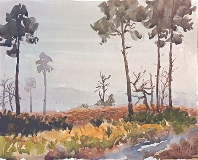 Pierre THIBAULT (XX) - Photo 1