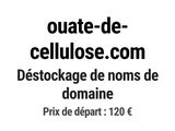 Photo 1/1 du lot