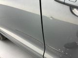 a close up of a car ' s side door with a cat on the side