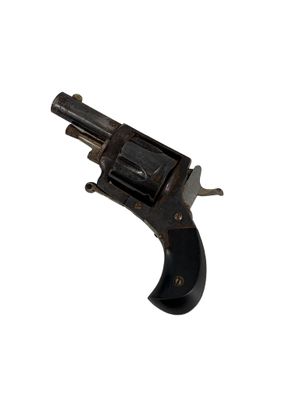 a close up of a small revolver on a white background