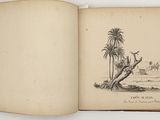 an open book with a drawing of a man sitting on a tree