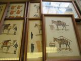 four framed pictures of horses and people on the wall
