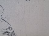 drawing of a dog ' s head in profile with a ball in the background