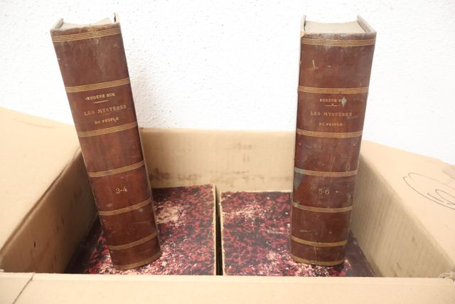 Cartons : la vie littéraire, 10 volumes, ½ reliure. Eugène Sue, l...