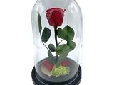 un dôme en verre contenant une rose rouge