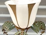 a plant that is sitting on top of a stand