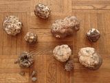 un tas de pierres par terre, à côté d'un tas de pièces de monnaie