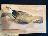 a painting of a bird that is on a piece of paper