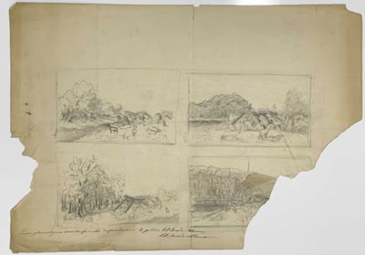 quatre croquis représentant un paysage avec des chevaux et un homme à cheval