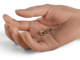 a person holding a tiny coin in their hand
