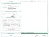 a green and white document with a picture of a person on it