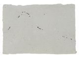 a close up of a piece of paper with black ink on it