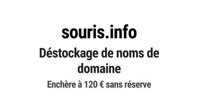 Nom de domaine souris.info. Catégorie: Informatique et tech.