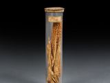 Photo 1/1 du lot