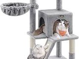Deux chats jouent avec un arbre à chat sur un fond blanc.