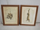 deux reproductions encadrées représentant un chat et un oiseau accrochées au mur