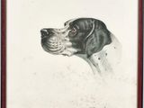 a drawing of a dog with a collar is shown in a frame